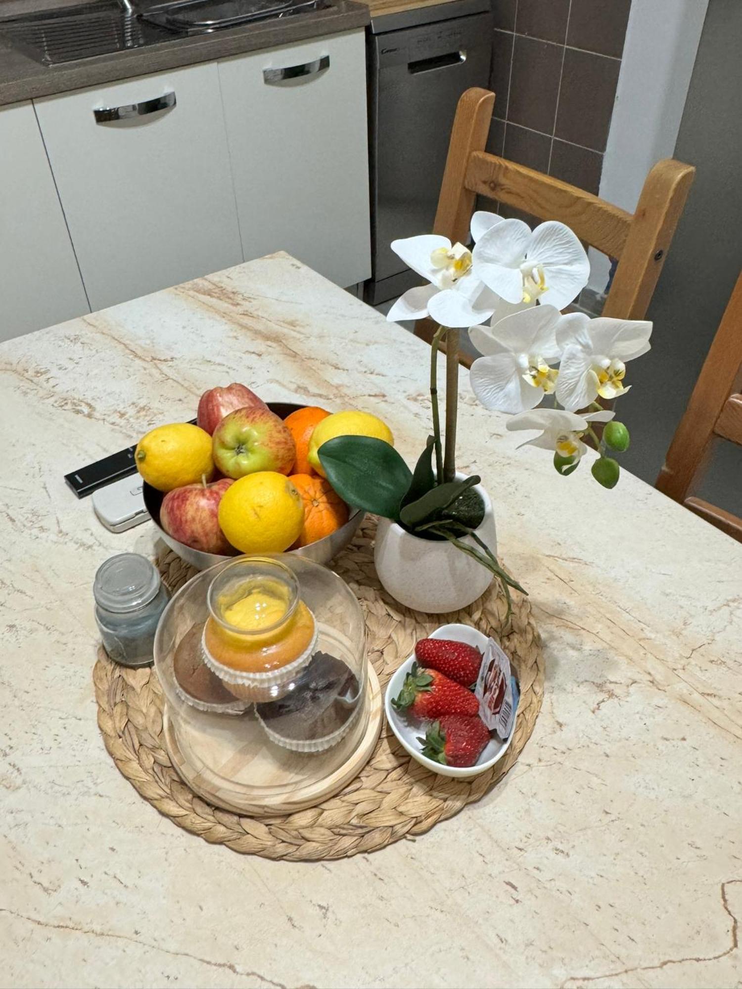 Gemma Suites Whole Apartment 볼로냐 외부 사진